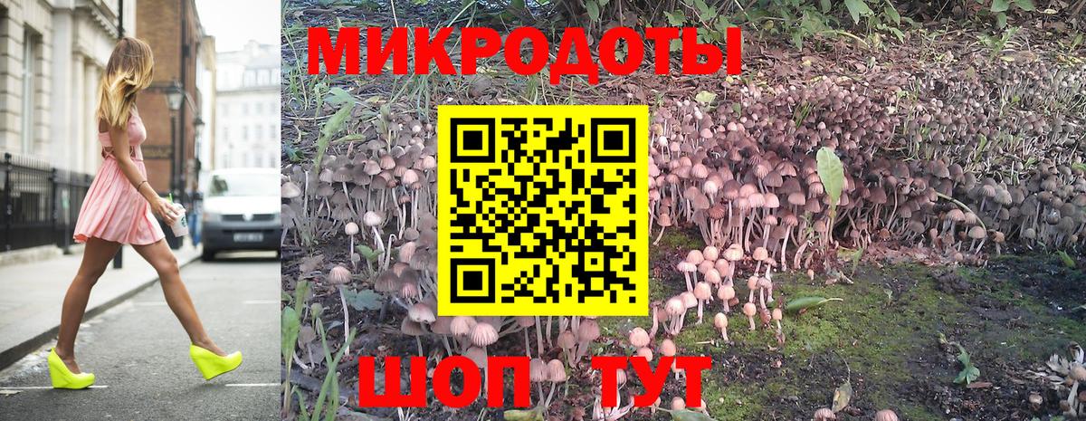 Галлюциногенные грибы ЛСД Калининград