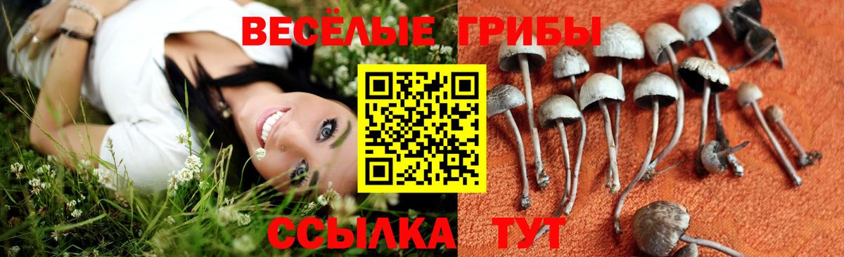 Калининград  Псилоцибиновые грибы ЛСД  Вход с VPN 
